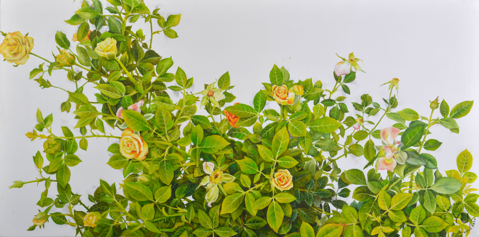 Rositas